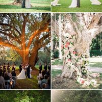 Backyard wedding decor - 2