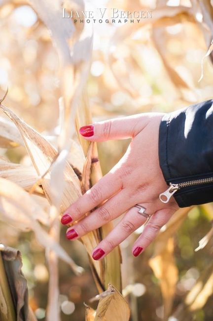 Some engagement photos :)