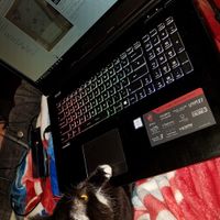 The line of 1000+ people