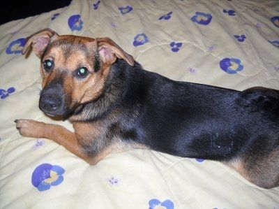 Adopted our 1st baby! (PICS)