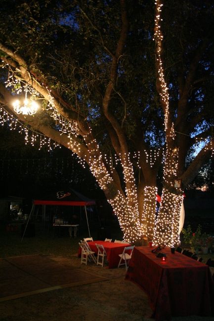 My Backyard Masquerade Wedding!! *Pics*