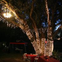 My Backyard Masquerade Wedding!! *Pics*