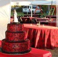 My Backyard Masquerade Wedding!! *Pics*