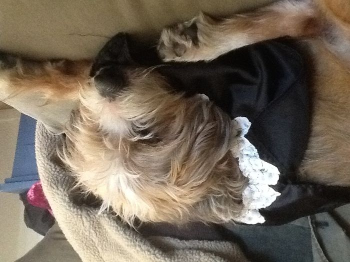 Show off your fur babies!