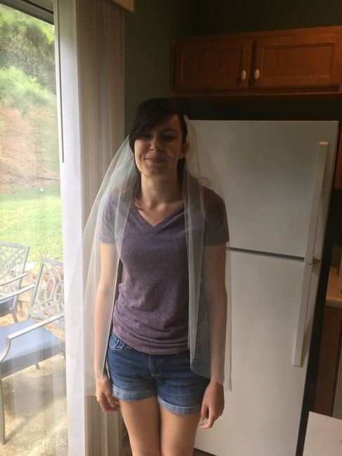 DIY veil!