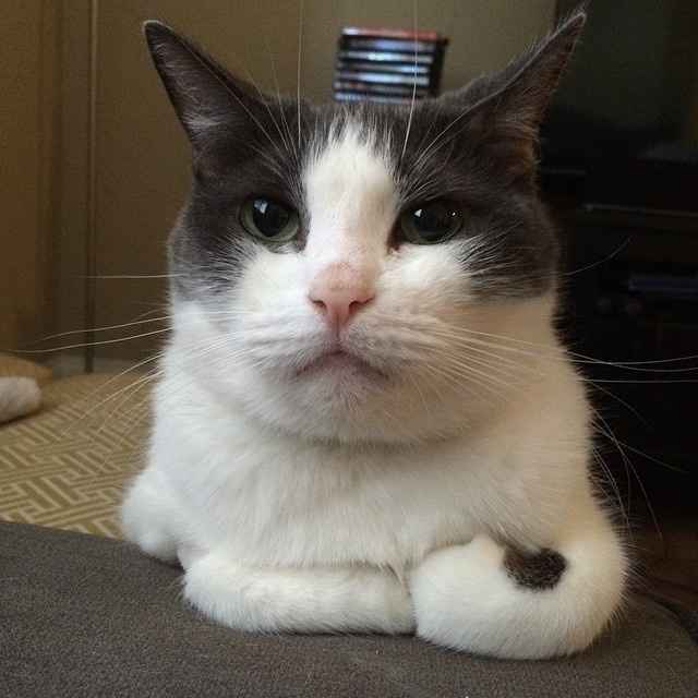 Sorta OT: Any brides planning while in school?