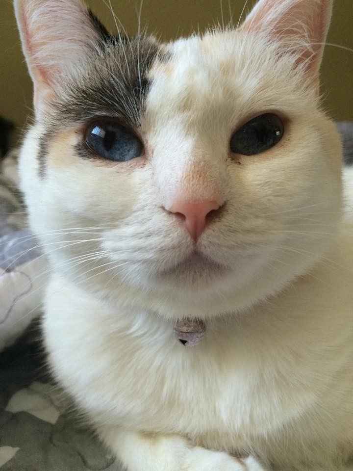 Sorta OT: Any brides planning while in school?