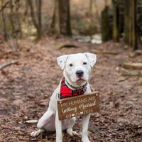 Show me your engagement photos! - 2
