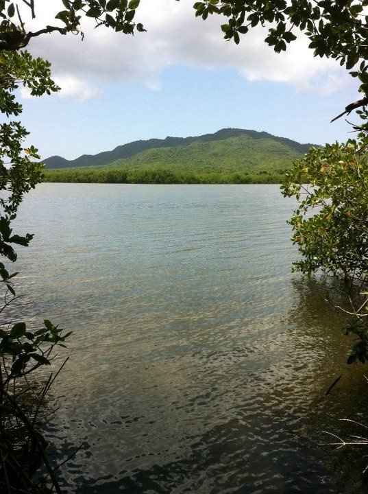 Honeymoon - Vieques, PR  **Pics**