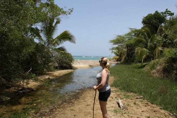 Honeymoon - Vieques, PR  **Pics**