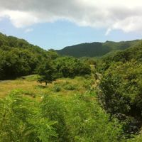 Honeymoon - Vieques, PR  **Pics**