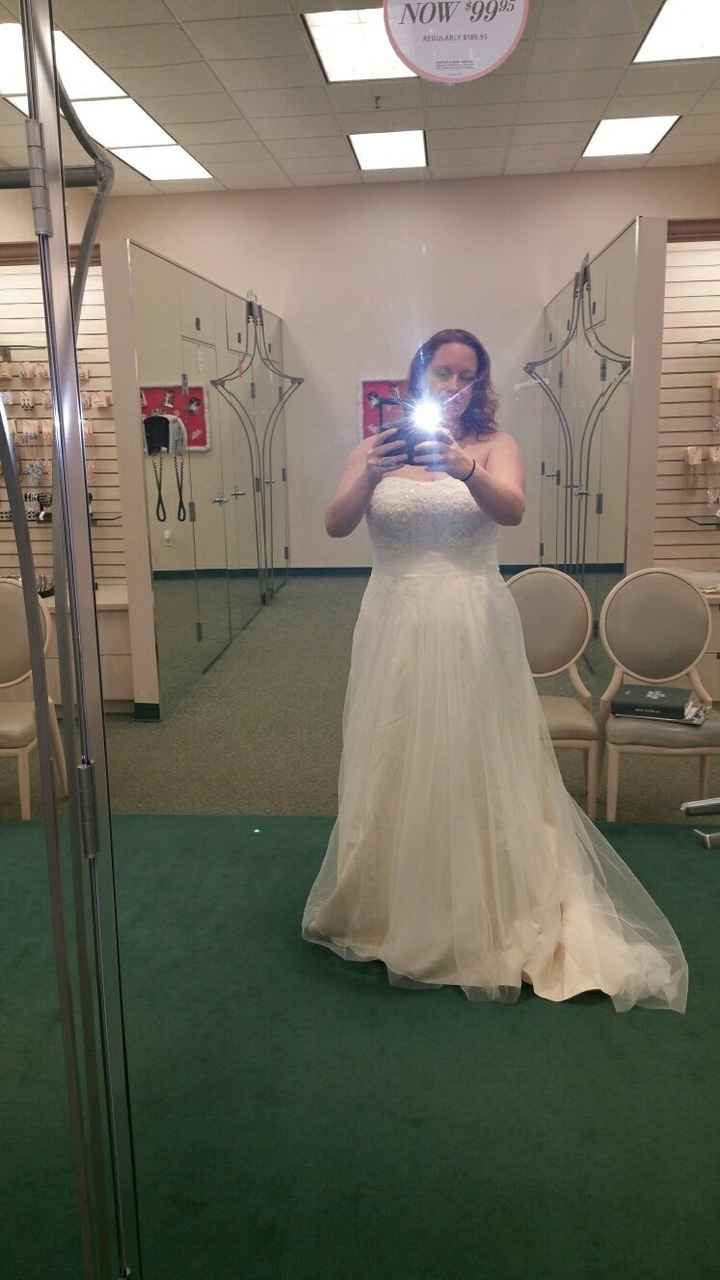 David's Bridal Brides!! Help me!