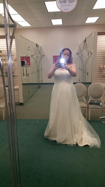 David's Bridal Brides!! Help me!