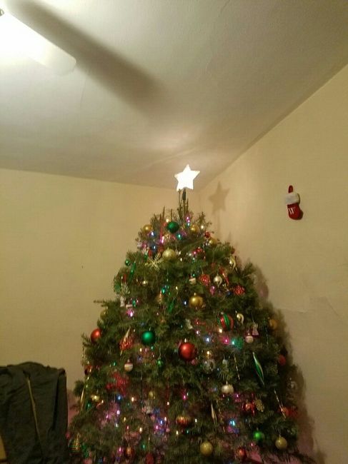 NWR: Finally finished decorating our first Christmas tree!!