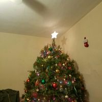 NWR: Finally finished decorating our first Christmas tree!!