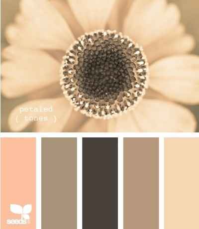 Wedding Colors and Inspiration