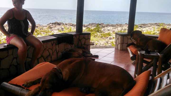 Back and honeymooned with more non-pro pics and honeymoon pics and some advice =)