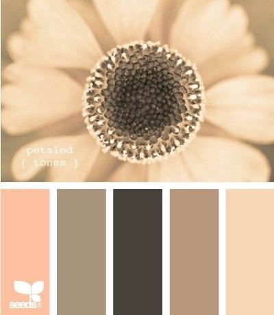 Wedding Colors and Inspiration