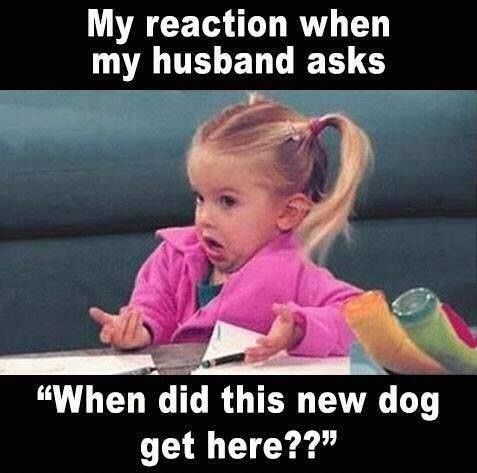 Later, betches.
