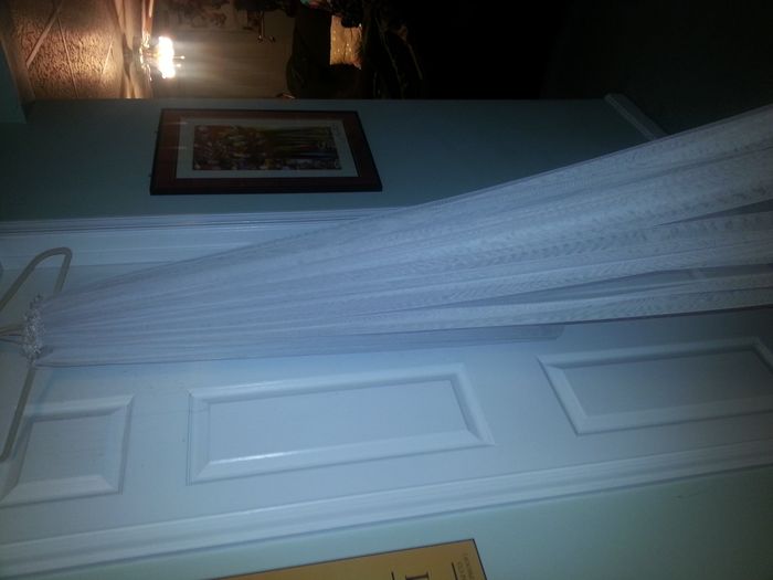 My handmade veil...and it's LONG!