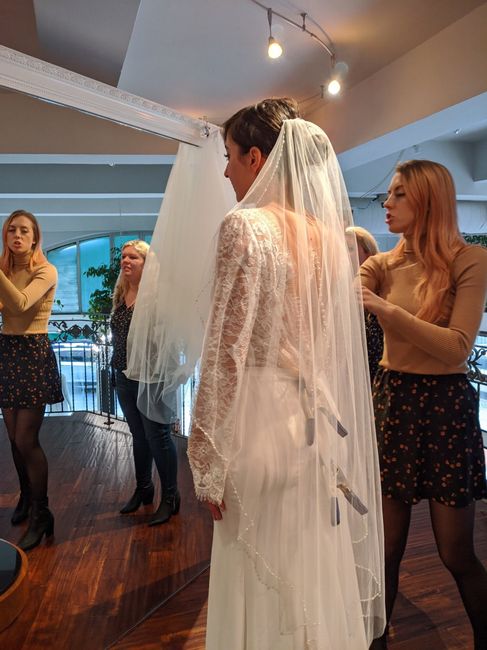 Total wedding dress panick - 2