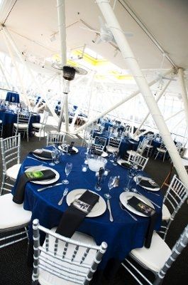 Pro Wedding pics!!! **Update**