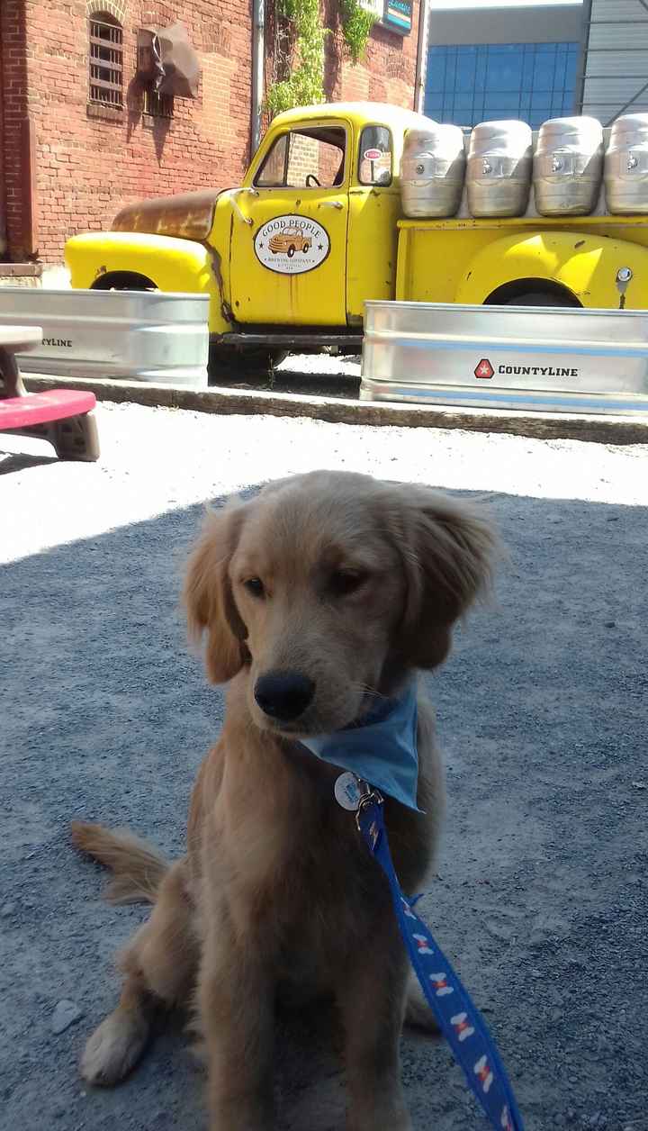 NWR: Shameless pet post!