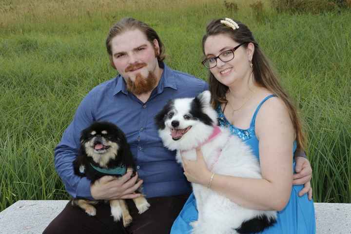 Engagement Pictures, with dogs.