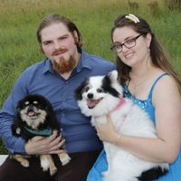 Engagement Pictures, with dogs.