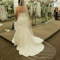 Please help me pic a dress