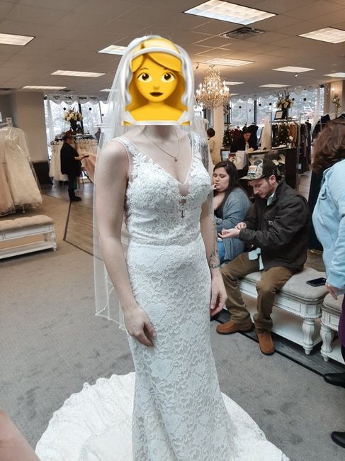 My dress came in! - 1