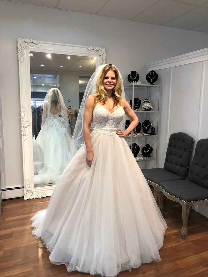 Front of Stella york