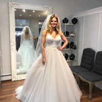 Front of Stella york