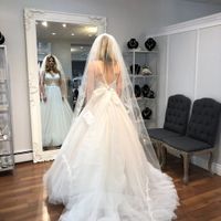 Back of Stella york with veil