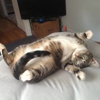 We havent had a pet post in a minute.