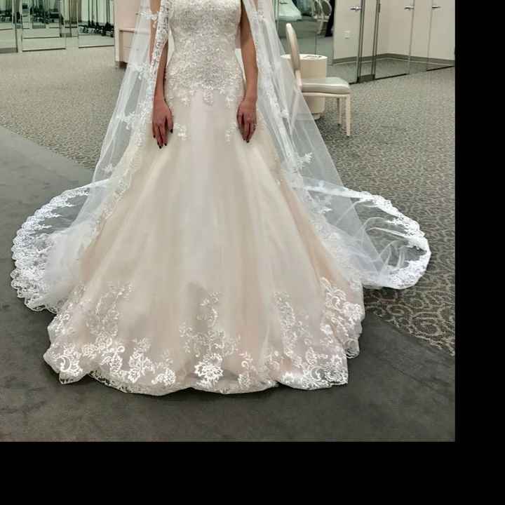 My Dress Came In!!! - Please share yours 😆 - 1