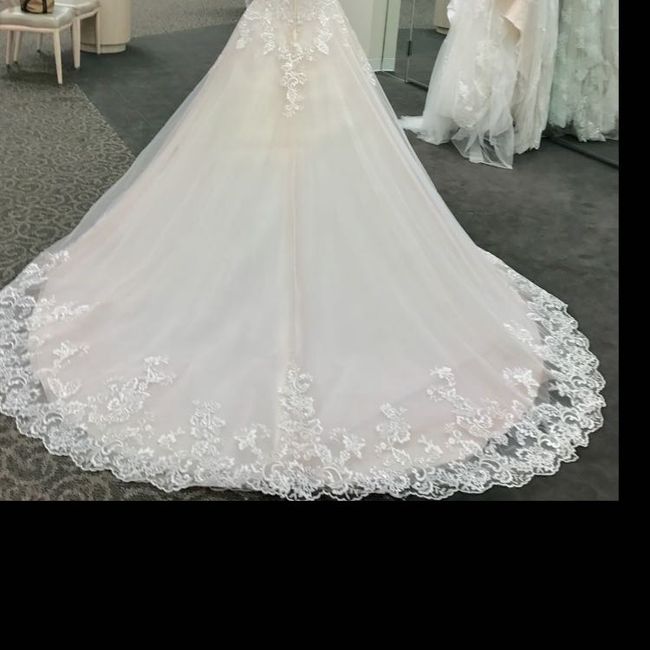 My Dress Came In!!! - Please share yours 😆 - 2