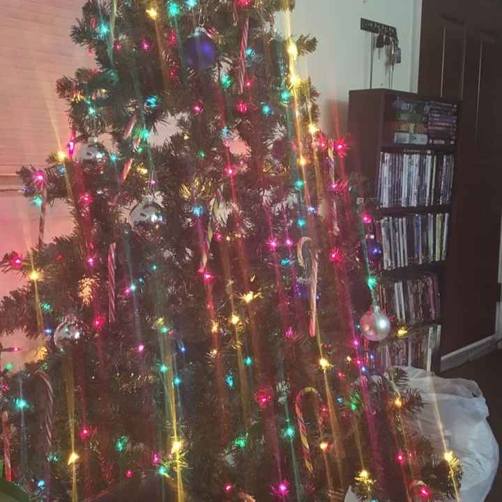 NWR who has the Christmas trees up?!