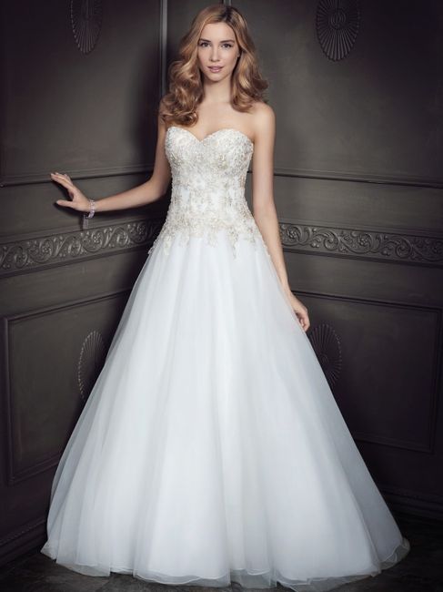Dress Shopping