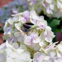 Bam!! With sneak peak pics - 3