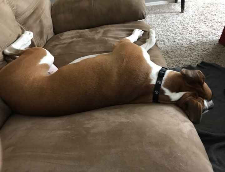 KWR-sharing some cuteness today.