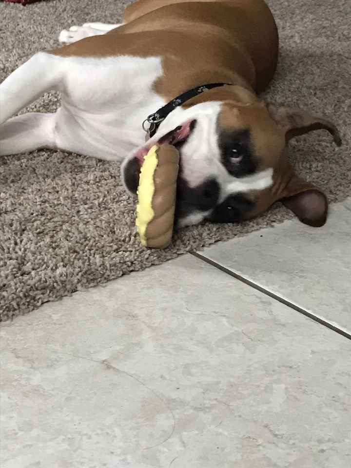 KWR-sharing some cuteness today.