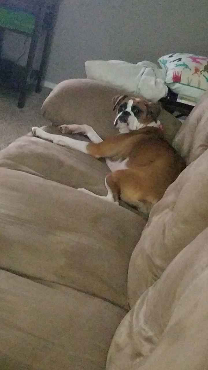 Show Me... Cheering Up!