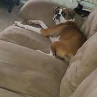 Show Me... Cheering Up!