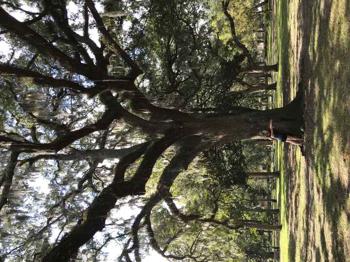 Savannah, GA Non-Pro BAM!