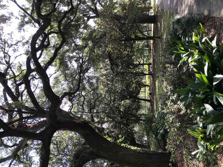 Savannah, GA Non-Pro BAM!