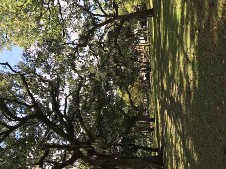 Savannah, GA Non-Pro BAM!