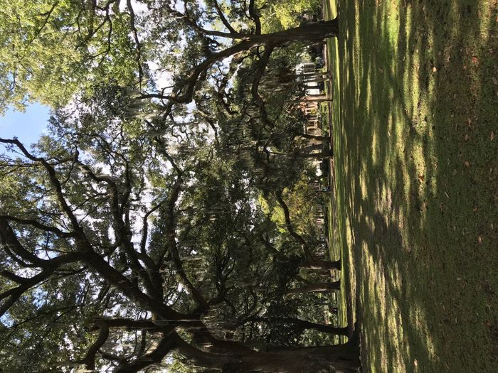 Savannah, GA Non-Pro BAM!