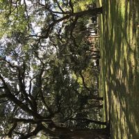 Savannah, GA Non-Pro BAM!