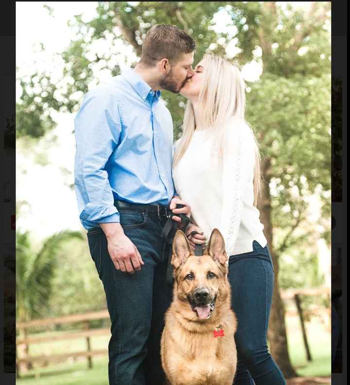 Engagement photos! - 1